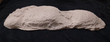 Cargar imagen en el visor de la galería, 1967 New Bigfoot Patterson "Patty #2" track footprint cast