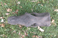 Load image into Gallery viewer, Woolly Rhino skull cast replica 3