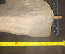 Load image into Gallery viewer, Woolly Rhino horns cast replicas