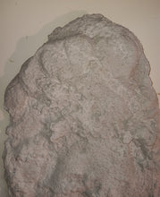 画像をギャラリービューアに読み込む, 1967 Patterson / Titmus cast #114-12 Bigfoot print cast