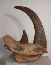 Load image into Gallery viewer, Woolly Rhino horns cast replicas