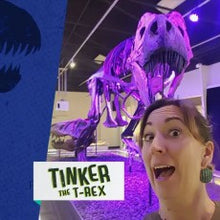 Cargar imagen en el visor de la galería, Tinker the T.rex skeleton cast replica T-rex Tinker Juvenile Trex