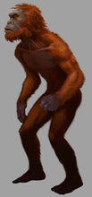 画像をギャラリービューアに読み込む, 2013(?) Orang Pendek #4 Footprint cast replica #4