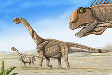 Load image into Gallery viewer, Camarasaurus skull cast replica #4