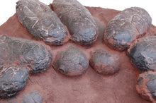 画像をギャラリービューアに読み込む, Oviraptor Dinosaur 20 Egg Nest Cast Replica Dinosaur Reproductions