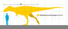 Load image into Gallery viewer, Albertosaurus Arm cast replica reproduction dinosaur fossil cast Gorgosaurus