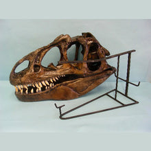 Load image into Gallery viewer, Allosaurus Skull Cast Replica Dinosaur Skull Reproduction Life-size!