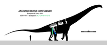 Load image into Gallery viewer, Sauropod: Argentinasaurus Vertebra cast replica Dinosaur