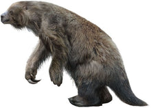 Cargar imagen en el visor de la galería, Eremotherium Ground Sloth tooth cast replica