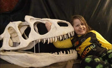 Cargar imagen en el visor de la galería, Allosaurus skull (unpainted / untrimmed)