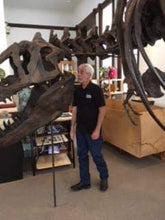 Load image into Gallery viewer, T-rex: Ivan the T.rex skeleton cast replica