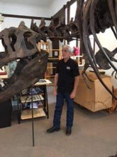 Load image into Gallery viewer, T-rex: Ivan the T.rex skeleton cast replica