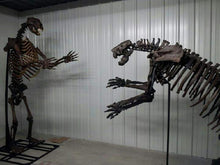 画像をギャラリービューアに読み込む, Megalonyx ground sloth skeleton cast replica