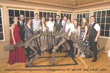 Load image into Gallery viewer, Stegosaurus skeleton cast replica #3 Huayangosaurus / Tuojiangosaurus