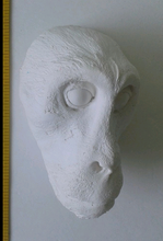 Charger l'image dans la galerie, Patas Monkey death cast replica Life cast