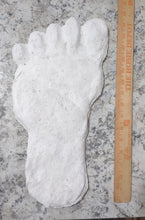 Load image into Gallery viewer, 19xx Alma Footprint track cast from Russia Cryptozoology AlmastyAlmas Footprint BIGFOOT
