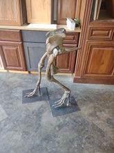 Load image into Gallery viewer, Herrerasaurus skeleton cast replica dinosaur for sale or rent