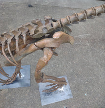 Load image into Gallery viewer, Herrerasaurus skeleton cast replica dinosaur for sale or rent