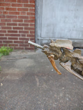Load image into Gallery viewer, Herrerasaurus skeleton cast replica dinosaur for sale or rent