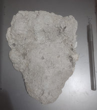 画像をギャラリービューアに読み込む, 2013(?) Orang Pendek #4 Footprint cast replica #4
