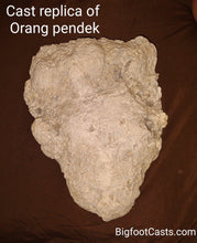 画像をギャラリービューアに読み込む, 2013(?) Orang Pendek #4 Footprint cast replica #4