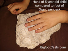 画像をギャラリービューアに読み込む, 2013(?) Orang Pendek #4 Footprint cast replica #4