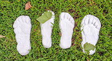 Charger l'image dans la galerie, 1982 Set of 5 Grays Harbor Hereford Bigfoot print casts replicas