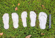 Charger l'image dans la galerie, 1982 Set of 5 Grays Harbor Hereford Bigfoot print casts replicas