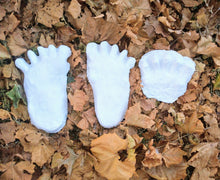 Load image into Gallery viewer, 1984 Paul Freeman's "Wrinkle Foot" cast  "A" Bigfoot Sasquatch footprint track cast replicas