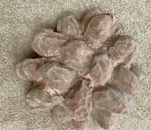 Load image into Gallery viewer, Dinosaur Segnosaur 20 Egg Nest #2 Cast Replica Dinosaur Reproductions