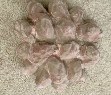 Load image into Gallery viewer, Dinosaur Segnosaur 20 Egg Nest #2 Cast Replica Dinosaur Reproductions