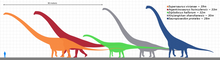 Load image into Gallery viewer, Sauropod: Argentinasaurus Vertebra cast replica Dinosaur