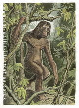 画像をギャラリービューアに読み込む, 2013(?) Orang Pendek #4 Footprint cast replica #4