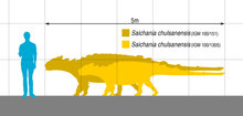 Load image into Gallery viewer, Saichania chulsanensis tail club cast replica