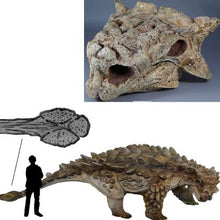 Load image into Gallery viewer, Saichania chulsanensis tail club cast replica