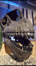 Load image into Gallery viewer, Camarasaurus skull cast replica #1 Camarasaurus grandis skull (GMNH-PV 101)