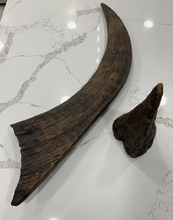 Load image into Gallery viewer, Woolly Rhino horns cast replicas
