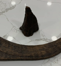 Load image into Gallery viewer, Woolly Rhino horns cast replicas