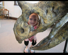Load image into Gallery viewer, Chasmosaurus Skeleton cast replica dinosaur skull