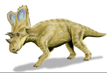 Load image into Gallery viewer, Chasmosaurus Skeleton cast replica dinosaur skull