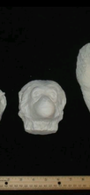 Load image into Gallery viewer, Gibbon death cast replica Life cast death mask