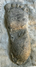 Cargar imagen en el visor de la galería, 1967 New Bigfoot Patterson "Patty #2" track footprint cast