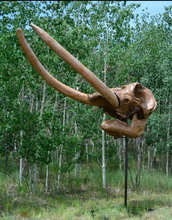 Charger l'image dans la galerie, Deluxe Mastodon skull cast replica Pleistocene. Ice Age
