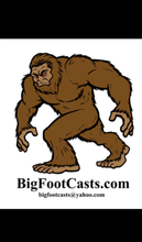 Load image into Gallery viewer, Herrerasaurus skull cast replica dinosaur for sale or rent