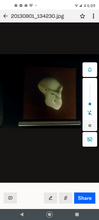 Load image into Gallery viewer, Aegyptopithecus profile skull cast replica Hominid skull cast replicas