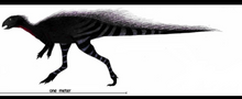 Cargar imagen en el visor de la galería, Rent a Dinosaur: Othneilia Nanosaurus rex dinosaur skeleton cast replica