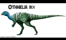 Cargar imagen en el visor de la galería, Rent a Dinosaur: Othneilia Nanosaurus rex dinosaur skeleton cast replica