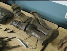 Load image into Gallery viewer, Hadrosaurus:. Mary Ann the Hadrosaur