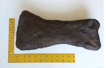Load image into Gallery viewer, Triceratops: Giant Triceratops toe (metatarsal)