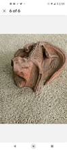 画像をギャラリービューアに読み込む, Psittacosaur Dinosaur Replica 14" Dinosaur skeleton cast in matrix